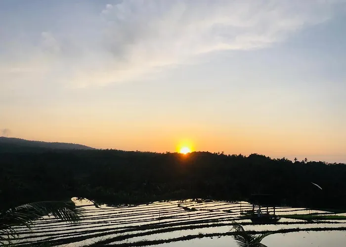 ホテル Terrace Retreat & Medewi *
